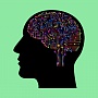 Почти 60% работников готовы имплантировать чипы, если это повысит эффективность труда Почти 60% работников готовы имплантировать чипы, если это повысит эффективность труда