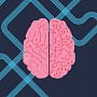 Google рассказал, какими должны быть AI-приложения