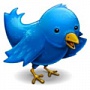 Инфографика: как 5 брендов увеличили продажи с помощью Twitter Инфографика: как 5 брендов увеличили продажи с помощью Twitter