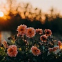 Instagram тестирует новый интерфейс «историй»