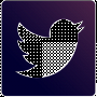 Выручка Twitter выросла в III квартале 2016 года Выручка Twitter выросла в III квартале 2016 года