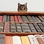 Свежие книги по интернет-маркетингу Свежие книги по интернет-маркетингу