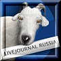 ЖЖ обзавелся собственным видеохостингом