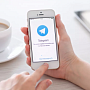 Telegram стал самой быстрорастущей платформой РФ для распространения контента