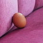 Кто вылупится из яйца: креативщики о флешмобе #liketheegg Кто вылупится из яйца: креативщики о флешмобе #liketheegg