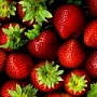 33 сайта с бесплатными изображениями 33 сайта с бесплатными изображениями