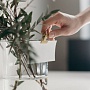 Instagram позволил закреплять лучшие комментарии в постах Instagram позволил закреплять лучшие комментарии в постах