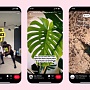 Pinterest запустил бета-версию своих Сторис