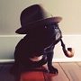Instagram: синема, от тебя мы без ума