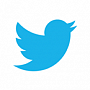 Twitter планирует продавать рекламу в РФ Twitter планирует продавать рекламу в РФ
