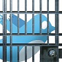 За расизм в Twitter сажают, за мат - отчисляют За расизм в Twitter сажают, за мат - отчисляют