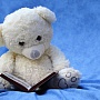 Google запустит свой «Клевер» Google запустит свой «Клевер»
