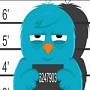 Twitter станет частью Google? Twitter станет частью Google?