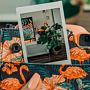 SMM в сегменте B2B с использованием Instagram Stories SMM в сегменте B2B с использованием Instagram Stories